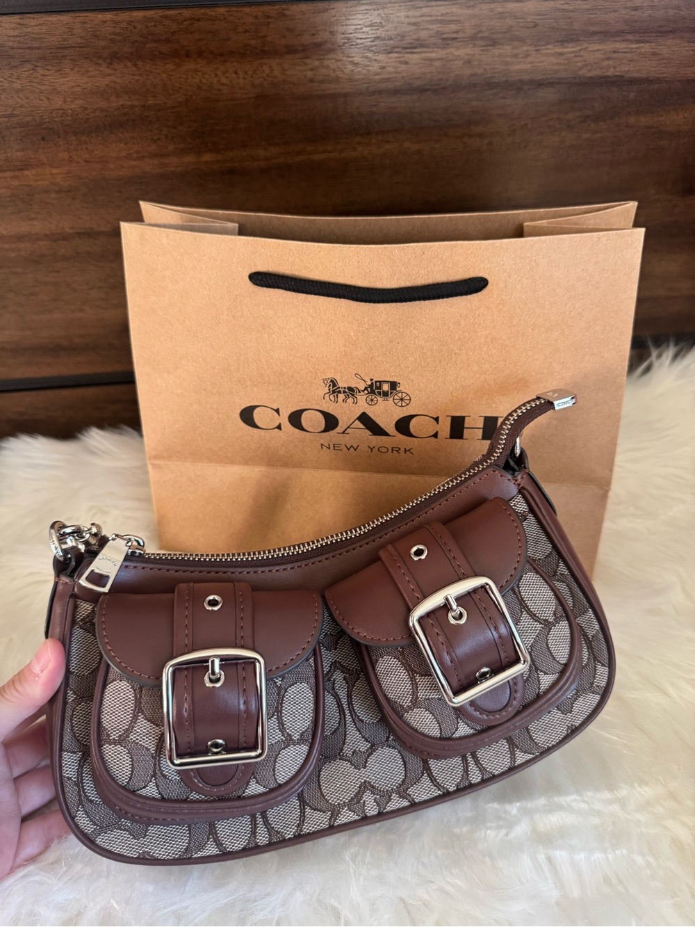 Coach Ashton bag new